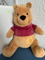 Winnie Pooh 90 Jahre limitierte Edition Plüsch 45cm Bayern - Neustadt b.Coburg Vorschau