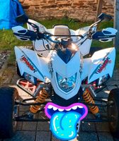 Quad Supermoto Explorer Trasher 320 Handgas Koblenz - Urbar Vorschau