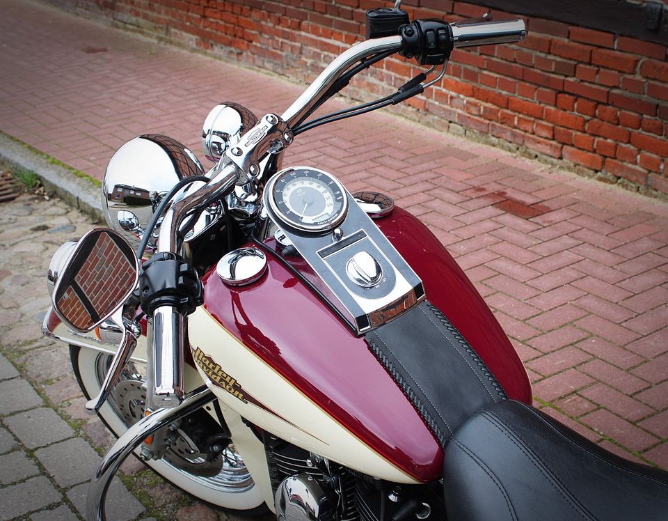 Harley Davidson Softail Deluxe FLSTN in Stelle