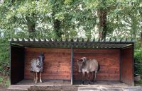 Weidehütte Nordrhein-Westfalen - Hünxe Vorschau