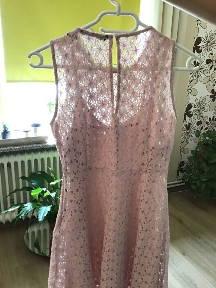 Festliches Sommerkleid, Spitzenkleid Xs Vero Moda rose‘ in Zetel