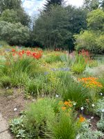 Gartenpflege, Landschaftsgestaltung-zuverlässig und professionell Bayern - Regensburg Vorschau