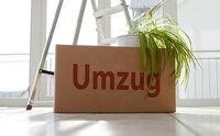 Top Umzugshelfer (Studenten) - Umzug-Umzugshilfe-Köln -Düsseldorf Köln - Ehrenfeld Vorschau