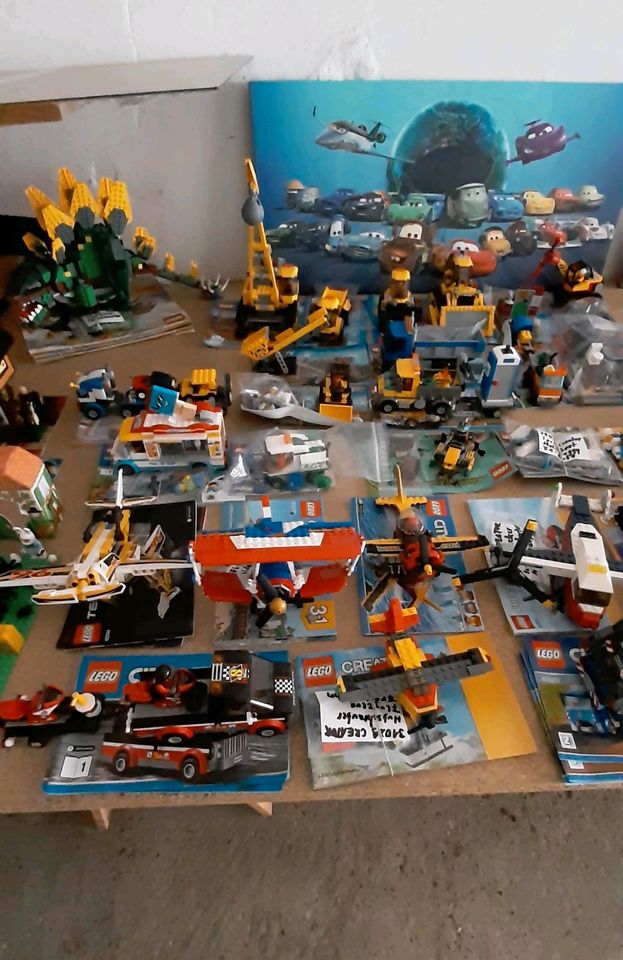 Lego und Playmobil Sammlung in Wasserlosen
