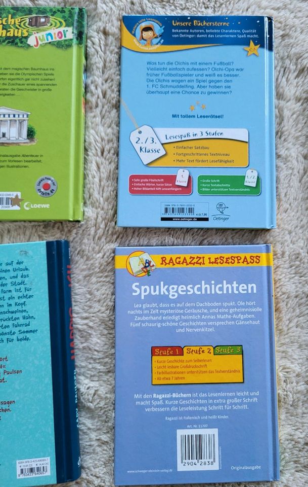 Leselöwen Kinderbücher 1. & 2. Klasse Magisches Baumhaus Olchis in Wolfenbüttel