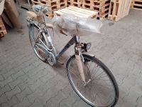 HE Fahrrad NEU Pegasus 28" RH53 Silber Bayern - Finsing Vorschau