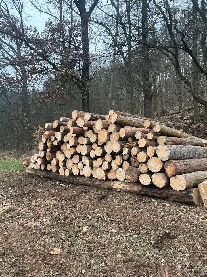 Brennholz Feuerholz Kamin Ofen Stammholz in Stadtroda