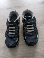 Turnschuhe Geox Gr. 29 Bayern - Hösbach Vorschau