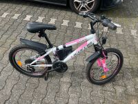 Licorne Kinder Mountainbike (Mädchen) Fahrrad Rheinland-Pfalz - Raubach (Westerw.) Vorschau