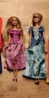 Barbie Prinzessinnen Rapunzel Cinderella Sachsen-Anhalt - Bernburg (Saale) Vorschau
