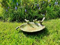 Schwere, massive Vogeltränke aus Gusseisen Vogelbad *NEU/VERSAND* Bayern - Kempten Vorschau