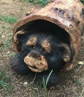 Bär aus Holz, Deko, Carving, Motorsäge Düsseldorf - Unterbach Vorschau