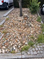 Steine verschiedene Größen zu verschenken Nordrhein-Westfalen - Geilenkirchen Vorschau
