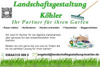Gartenarbeiten, Gartenpflege, Rasenmähen, Heckenschneiden, Fräsen Nordrhein-Westfalen - Borgentreich Vorschau
