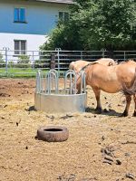 Neu! Rundraufe 8 Plätze, Palisadenraufe, Heuraufe, Futterraufe Bayern - Engelsberg Vorschau