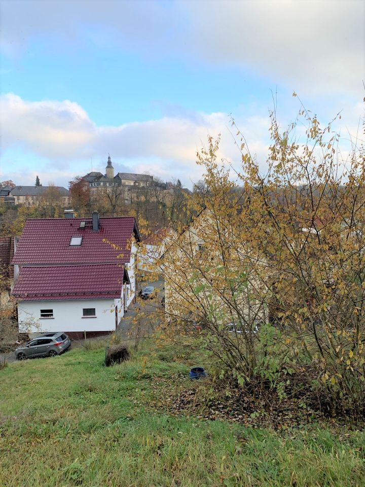 **Baugrundstück mit Blick auf das Birsteiner Schloss** in Birstein