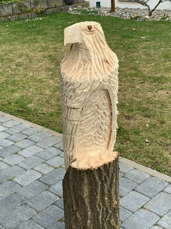 Holzskulptur Adler Motorsägenkunst Geschenk Garten Carving in Sonnenbühl