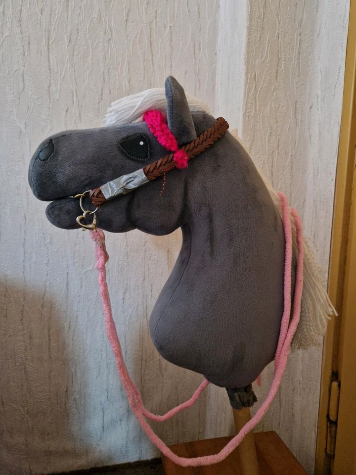 Hobby Horse zu verkaufen inkl. Zubehör in Tiefenort