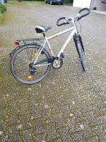 Herren - Trekkingrad 26 zoll , 24 Gang Nordrhein-Westfalen - Mönchengladbach Vorschau