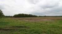 **Provisionsfrei** Ca. 7,5 Hektar Ackerland mit Wald in Campemoor/Vörden zu verkaufen Niedersachsen - Neuenkirchen-Vörden Vorschau