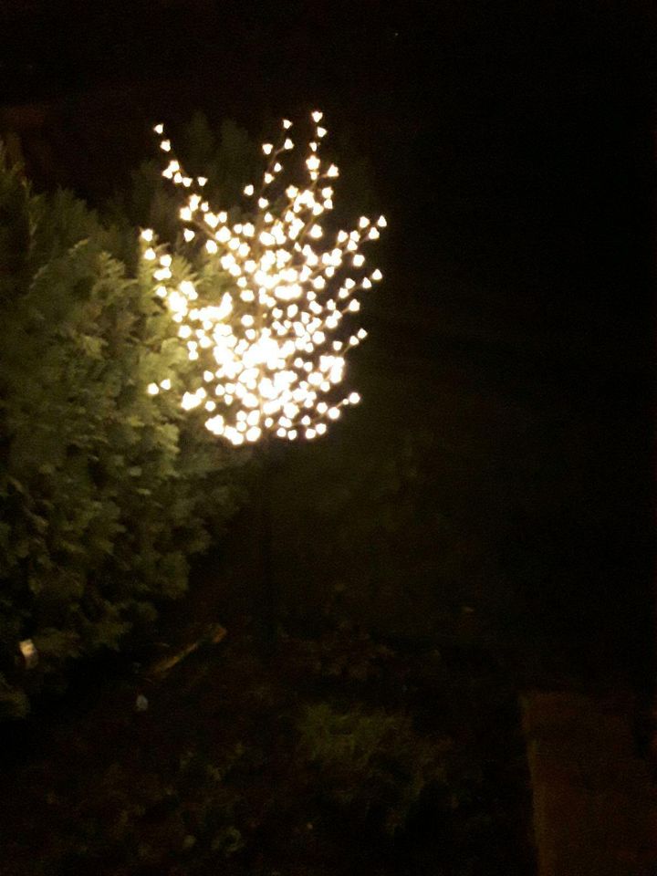 LED Kirschblütenbaum für den Garten in Ilvesheim
