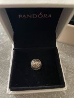 Pandora Charm Brandenburg - Grünheide (Mark) Vorschau