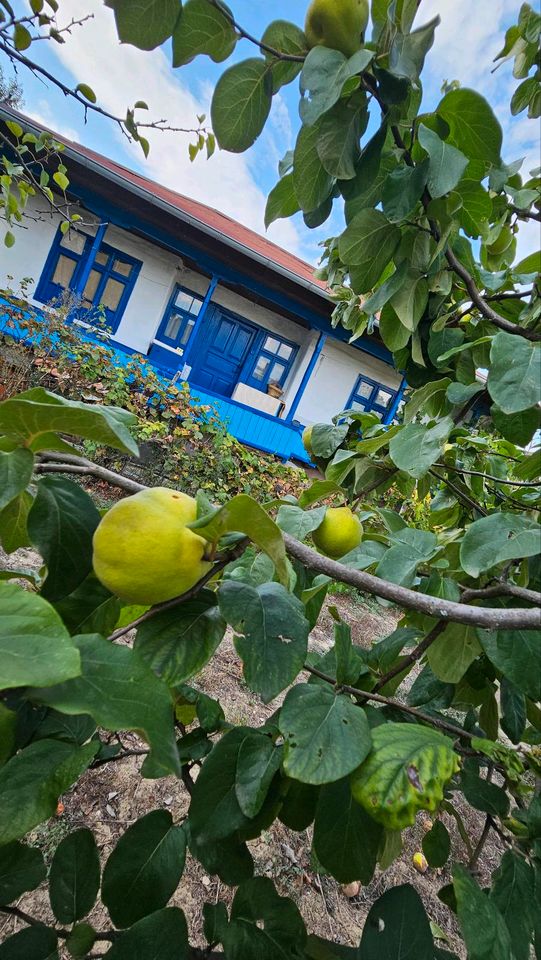 Haus mit Grundstück und Tiere wochnungen in Taufkirchen München