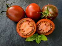 Black Ethopian Tomaten Pflanze aus Bio Naturgarten Niedersachsen - Norden Vorschau