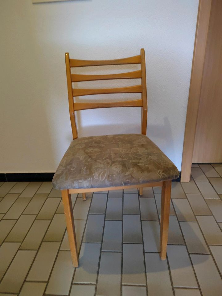 Küche/Esszimmer Stühle in Siegen