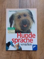 Tierratgeber Hund  Hundesparche Verstehen Chemnitz - Lutherviertel Vorschau