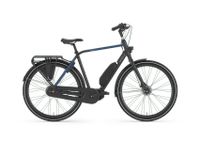 Gazelle Citygo C7 HMS Black, City E-Bike, Elektrofahrrad [neu] Niedersachsen - Großenkneten Vorschau