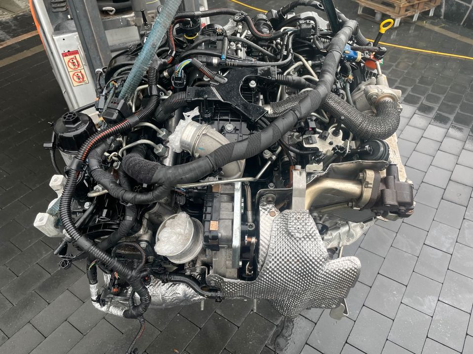 Motor Maserati Levante Ghibli 3.0d M15746d M16164D 275PS komplett in Waldalgesheim