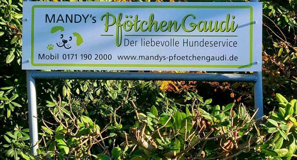 Hundesitter - Gassi-Service - Essen und Umgebung in Essen