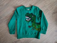 Sweatshirt Pullover Dinosaurier Junge Gr. 140 Baden-Württemberg - Friedrichshafen Vorschau
