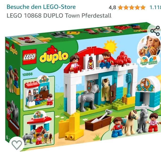 LEGO DUPLO 10951 Pferdestall und Ponypflege in Werneck