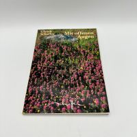 Postkartenblock naturbilder: mit offenen Augen Hessen - Bad Homburg Vorschau