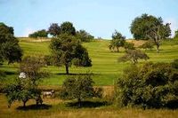 Suche: landwirtschaftliche Fläche, Wiese, teilbewaldet etc. Nordrhein-Westfalen - Meerbusch Vorschau