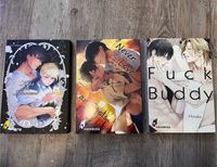 Hayabusa Manga Boyslove Merch Bücher Niedersachsen - Garbsen Vorschau