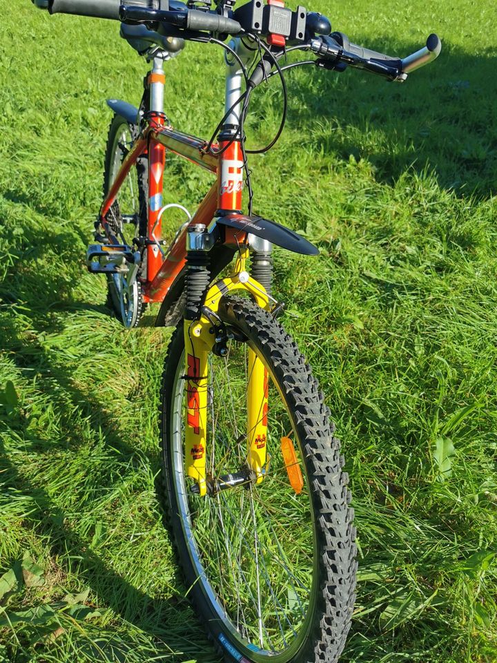 Schickes Damen MTB in Niedernhausen