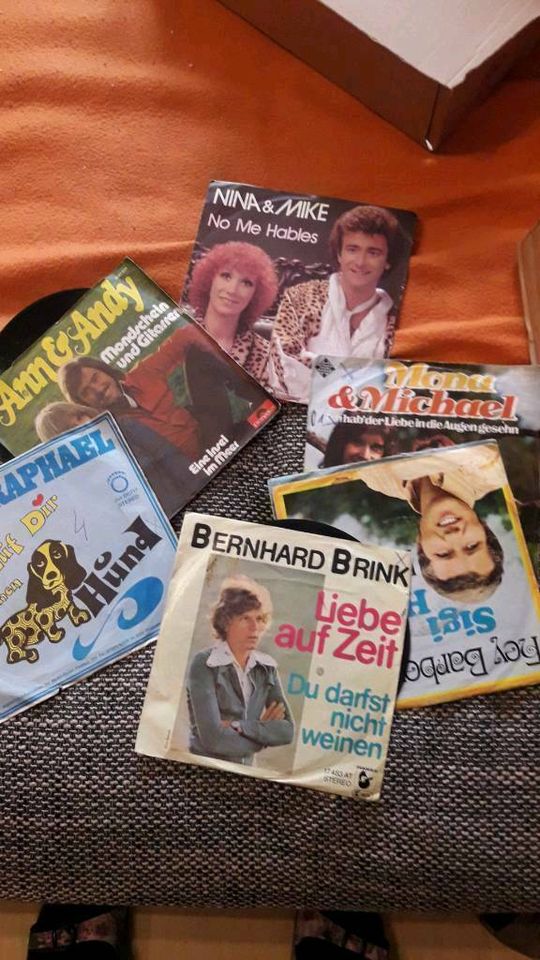 Schallplatten  /  Singles in Schneverdingen