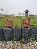 Bienenkorb Körbe Bienenvolk Carnica Schleswig-Holstein - Sterley Vorschau