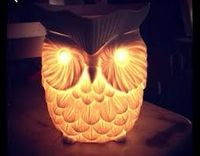 Scentsy Lampe Eule Saarland - Schiffweiler Vorschau