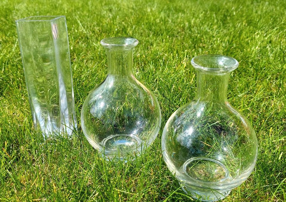 Blumen Vasen Glas in Schafflund