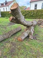 Nussbaum / Holz Bayern - Jetzendorf Vorschau