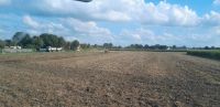 Ackerland Feld Acker Landwirtschaft Nordrhein-Westfalen - Metelen Vorschau