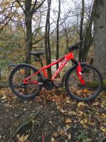 Focus Mountainbike 24 er neuwertig München - Sendling Vorschau