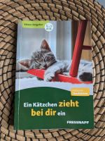 Heft Katzen, Kätzchen Niedersachsen - Hesel Vorschau