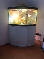 FLUVAL Aquarium Eckaquarium mit Zubehör , 350 Liter Hessen - Heppenheim (Bergstraße) Vorschau