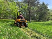 Mäharbeiten Mulcharbeiten Rasenmähen Rodungen Bayern - Oerlenbach Vorschau