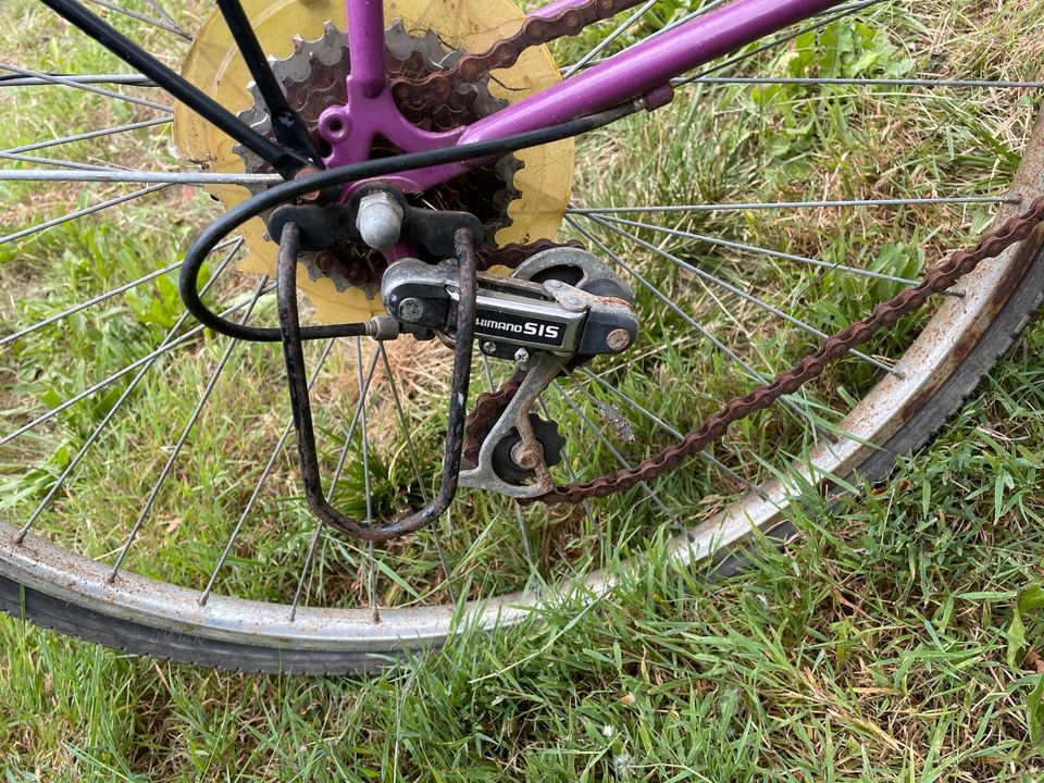 Fahrrad - Damenfahrrad - Trekkingrad - Marke Prophete in Tauche